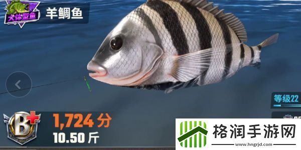 欢乐钓鱼大师鱼类有哪些