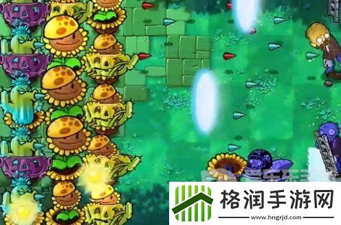 植物大战僵尸杂交版挑战模式第9关怎么过