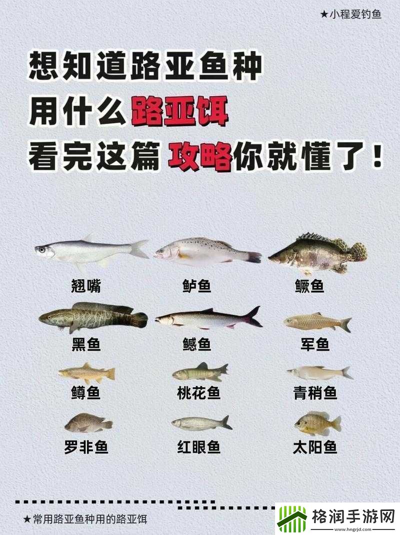 荒野大镖客2传说红鲑鱼地图分布及钓鱼攻略详解