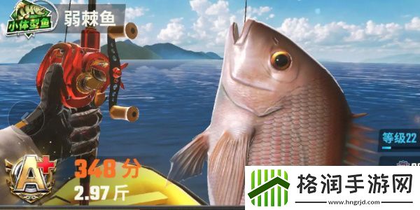 欢乐钓鱼大师鱼类有哪些