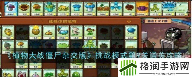 植物大战僵尸杂交版挑战模式第9关怎么过