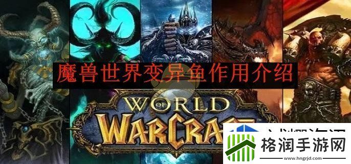 提升角色属性技巧