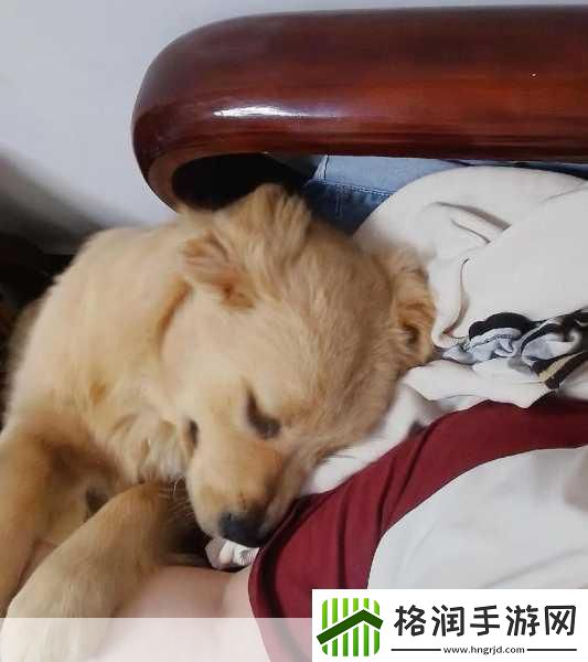 粘人又懂事的妹妹