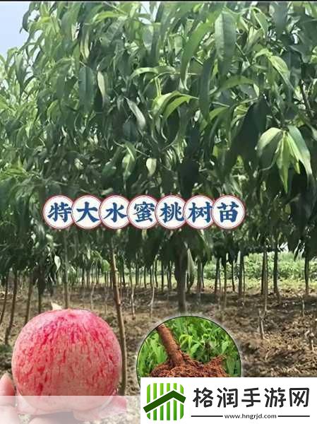 像是多汁的水蜜桃谁都想咬怎么唱