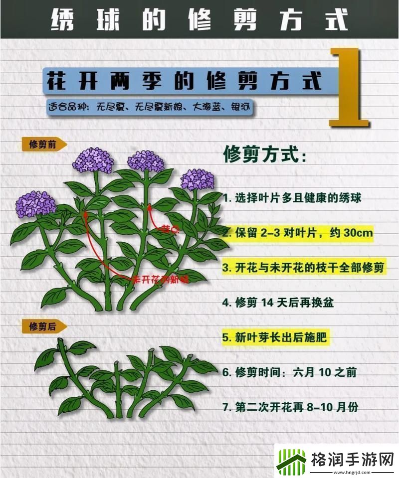 花园之间怎么修剪花草如何修剪花草的正确方法