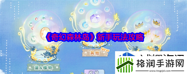 参赛准备的注意