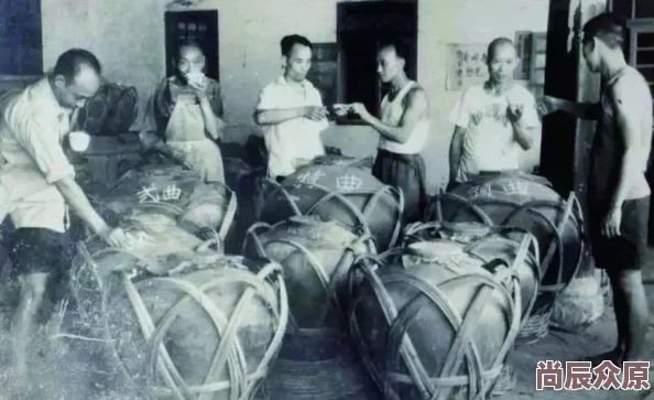 日本一曲二曲三曲视频