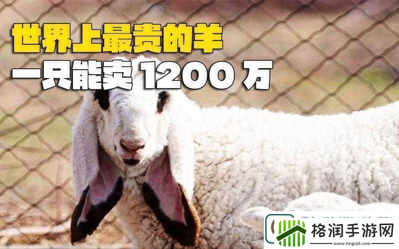 人类黎明之羊毛大发现