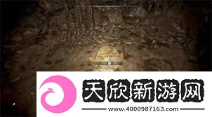 潜行者2怪异的锅有什么作用