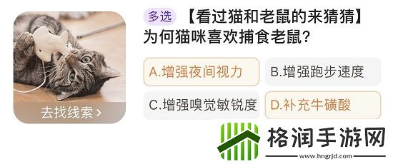淘宝每日一猜1.10今日答案
