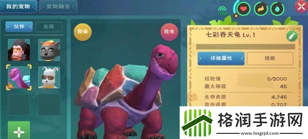 创造与魔法彩壳龟在哪里获取