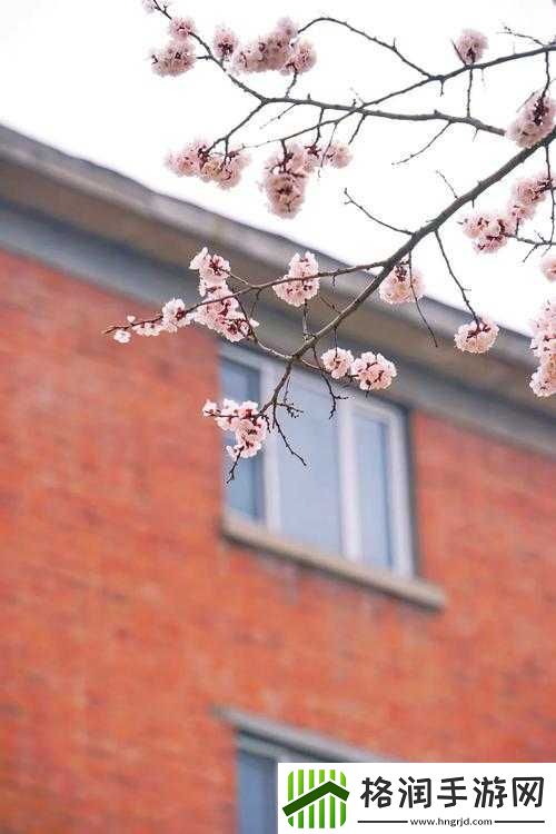 老子不能生by鸾枝全文免费阅读