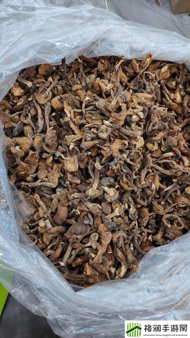 蘑菇头大好还是根部大好