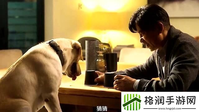 崛起的科技新星