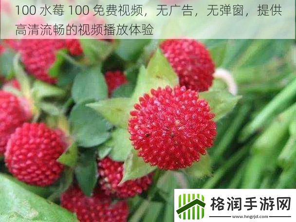 100水莓100免费视频无广告无弹窗提供高清流畅的视频播放体验