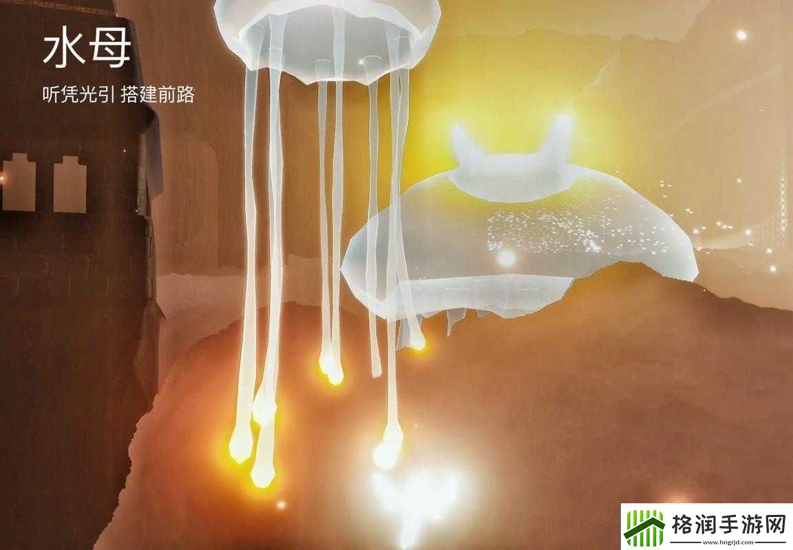 探寻光遇神秘水母图所处之地