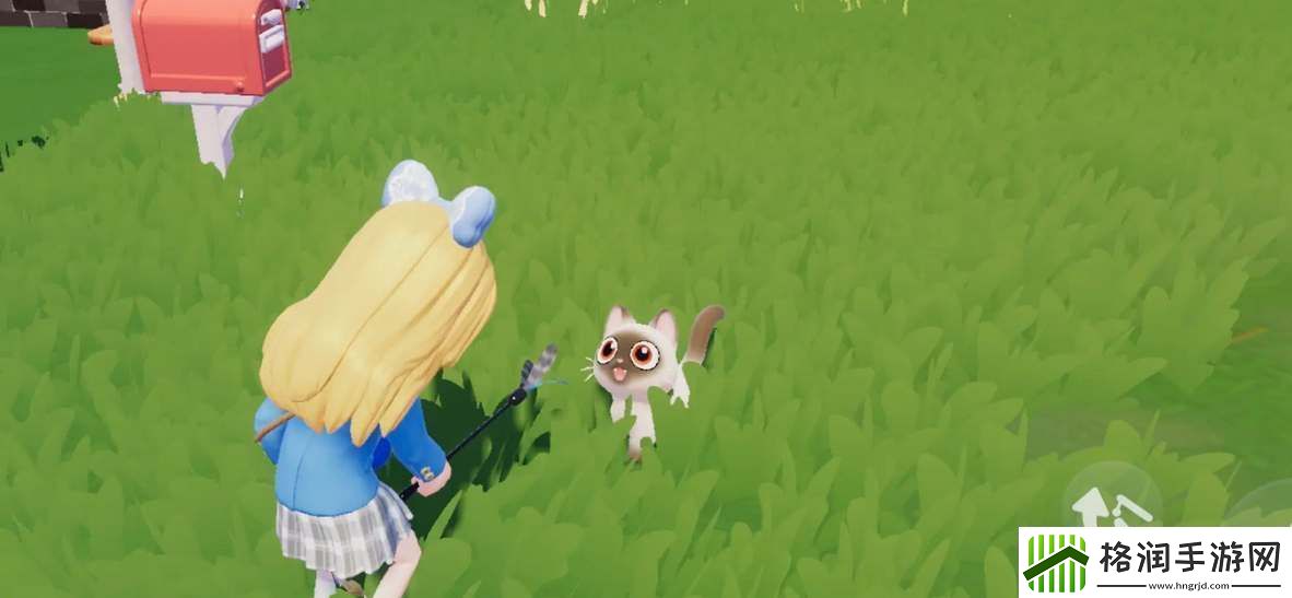 心动小镇养猫任务攻略