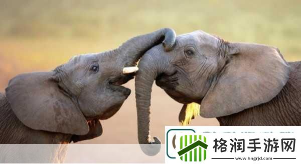 满18点此安全转入2023大象1.＂勇闯18岁