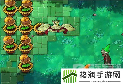 植物大战僵尸杂交版挑战模式第16关怎么过