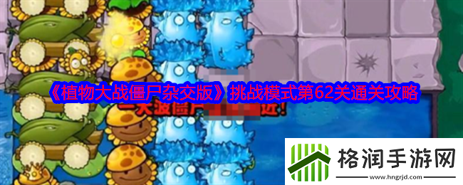 植物大战僵尸杂交版挑战模式第62关详细通关技巧与策略分享