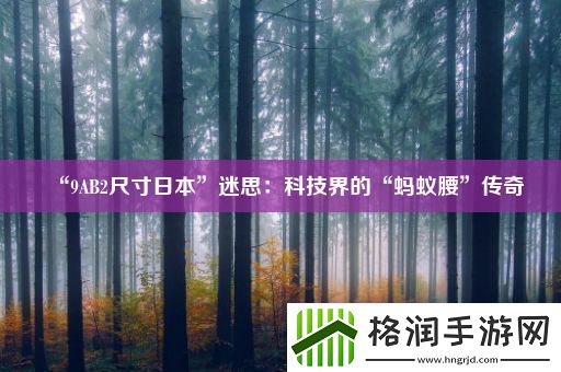 “9AB2尺寸日本”迷思