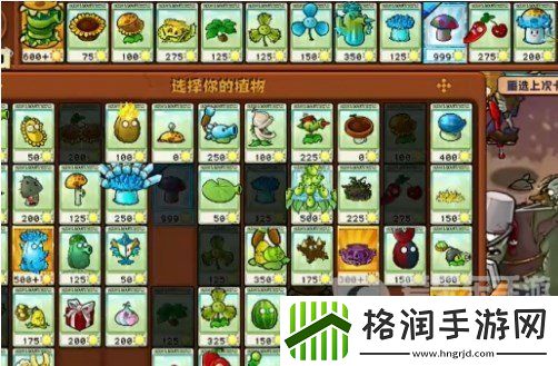 植物大战僵尸杂交版挑战模式第16关怎么过