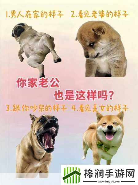 婆婆和我的狗老公怎么相处