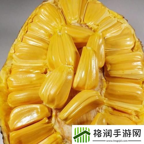 “香”摇“菠”动