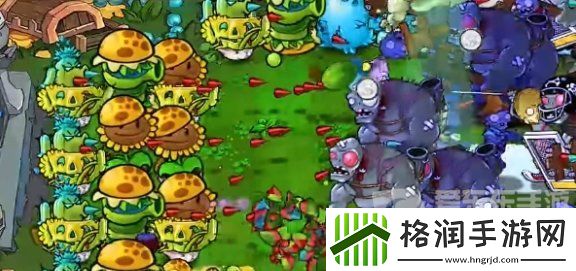 植物大战僵尸杂交版挑战模式第18关怎么过