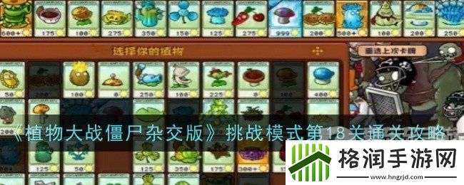 植物大战僵尸杂交版挑战模式第18关怎么过