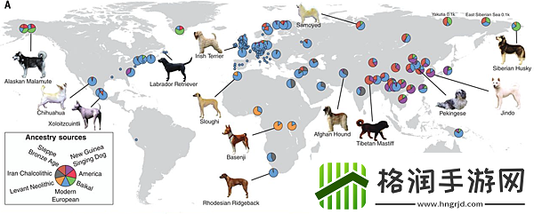 宠物对决世代精灵分布
