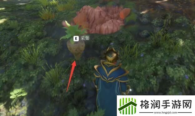 雾锁王国糖制作方法