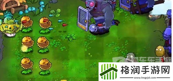 植物大战僵尸杂交版挑战模式第18关怎么过