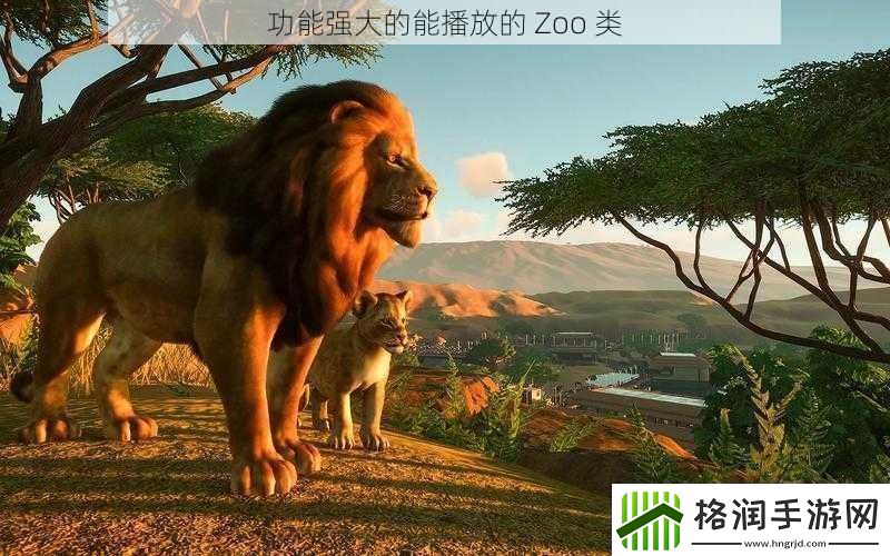 功能强大的能播放的