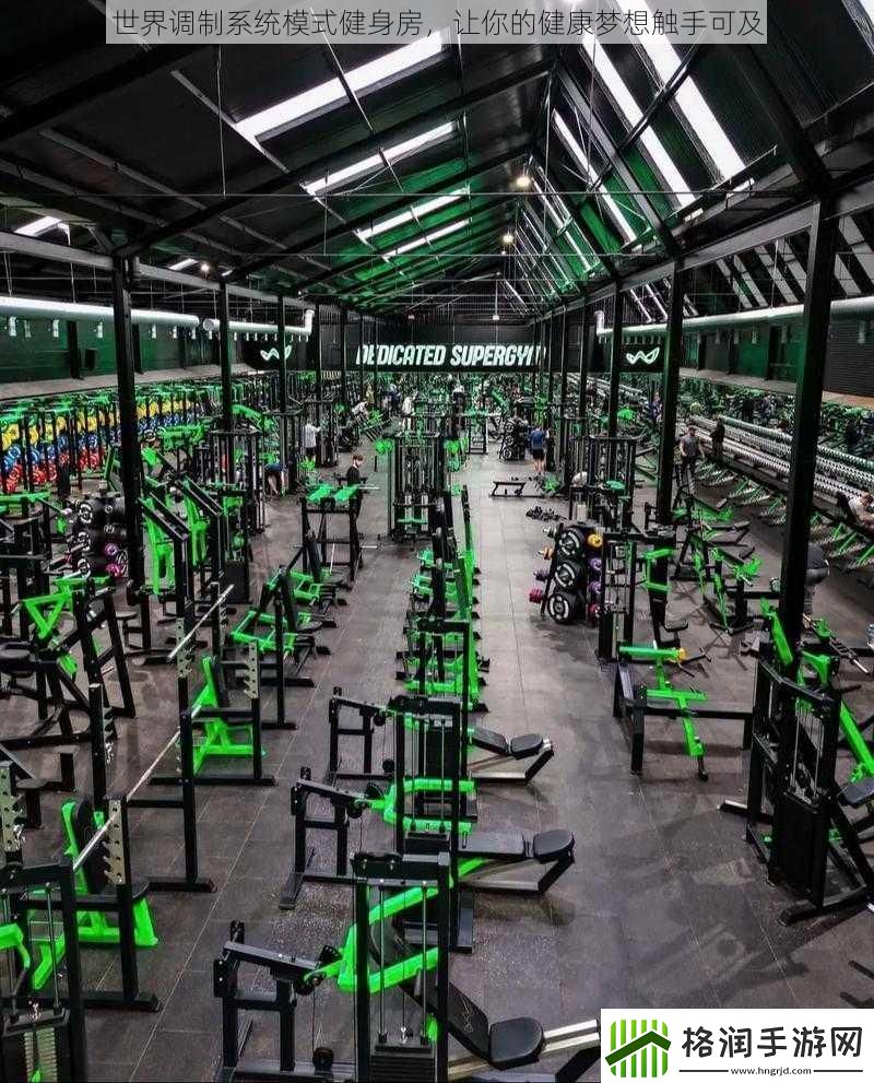 世界调制系统模式健身房