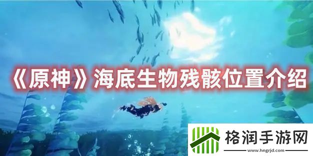 原神探索海底生物遗骸的详细位置与指南