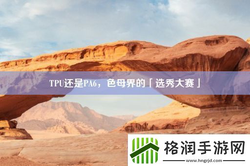 TPU还是PA6色母界的「选秀大赛」