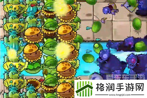 植物大战僵尸杂交版挑战模式第12关怎么过