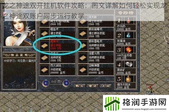 龙之神途双开挂机软件攻略
