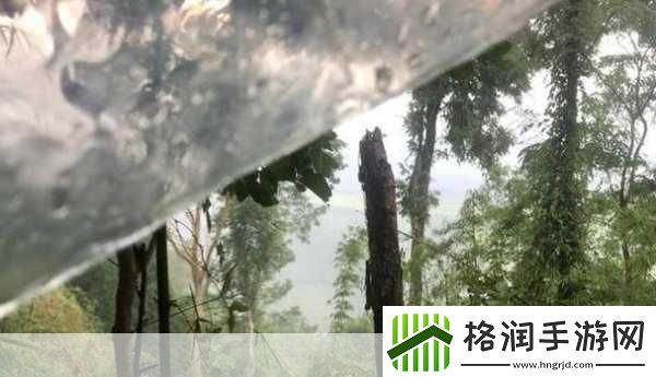 欧美无人区码卡二卡3卡4当然可以！以下是一些基于欧美无人区码卡二卡3卡4的扩展