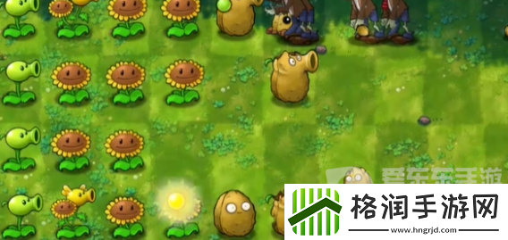 植物大战僵尸融合版冒险模式第5关怎么过
