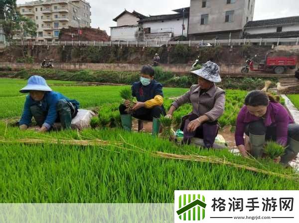 情侣插秧的100种方法