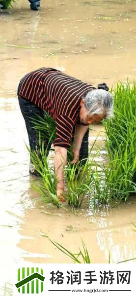 情侣插秧的100种方法