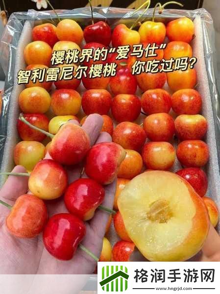 红颜樱桃和黄蜜樱桃的区别