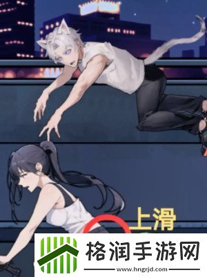 隐秘的档案宠物领养中心通关攻略