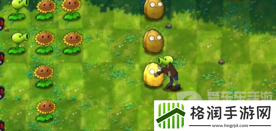 植物大战僵尸融合版冒险模式第5关怎么过