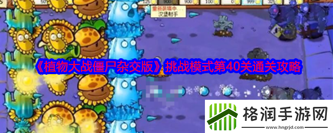 植物大战僵尸杂交版挑战模式第40关全攻略与通关技巧分享