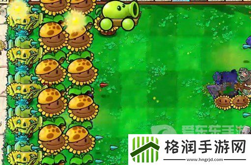 植物大战僵尸杂交版挑战模式第20关怎么过