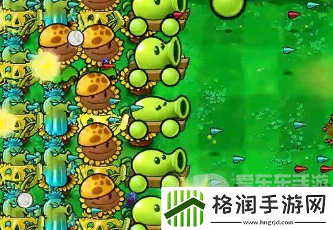 植物大战僵尸杂交版挑战模式第20关怎么过