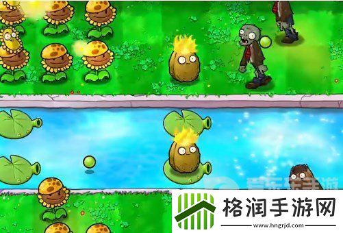 植物大战僵尸杂交版挑战模式第19关怎么过